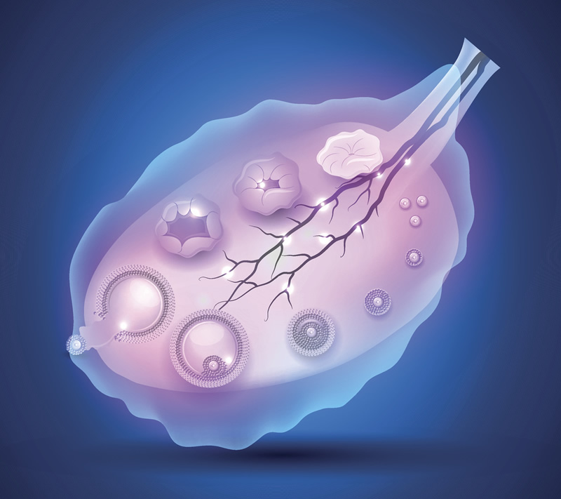 2026年南宁试管婴儿医院盘点：公立三甲助孕机构选择指南与费用解析